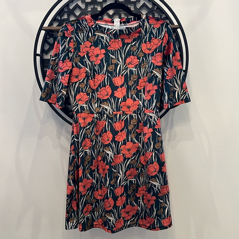 Hide & Seek Velour Green and Coral Poppy Dress